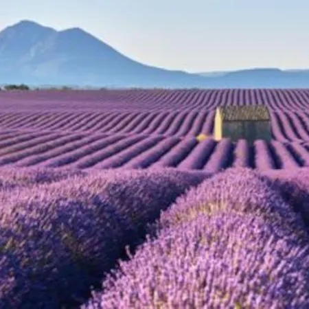 Maison Au Calme Climatisee Avec Jardin A - Provence Вилла Динь-ле-Бен